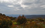 18-Views from Mt Useful at 1,500M